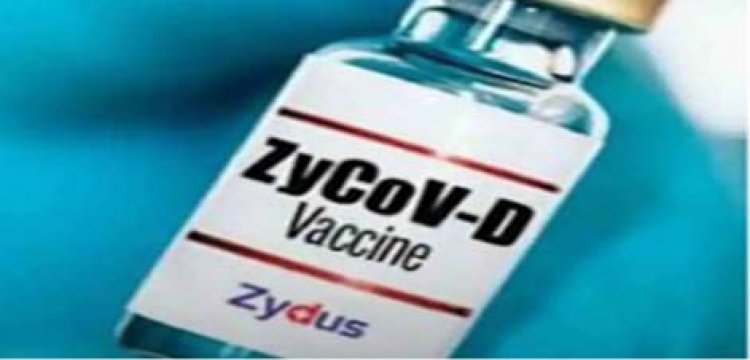सरकारी पैनल प्रमुख से मिली मंजूरी, 12 साल से अधिक उम्र के बच्चों को पहले लगाई जाएगी Zycov-D वैक्सीन : Corona Vaccine