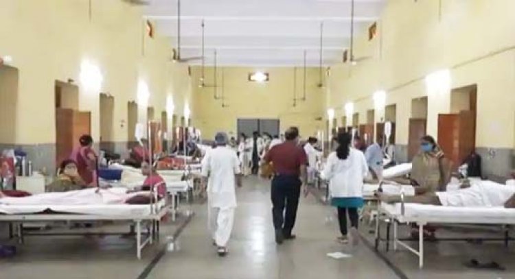 UP : फिरोजाबाद के बाद अब कानपुर में पैर पसार रहा डेंगू और वायरल बुखार, अस्पतालों में लगी लंबी-लंबी लाइनें