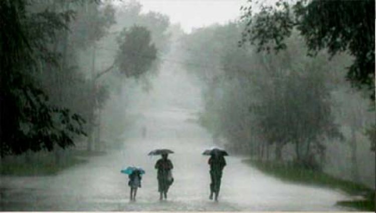 Uttarakhand :  IMD ने जारी किया येलो अलर्ट, अगले 24 घंटे में कई जिलों में भारी बारिश की चेतावनी; बदरीनाथ हाईवे बंद