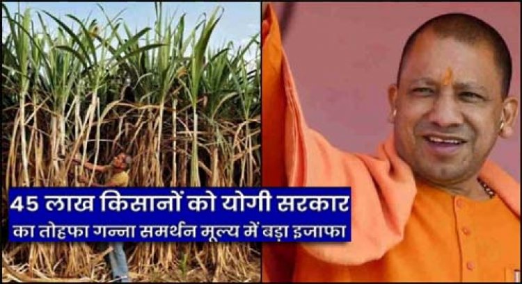 उत्तर प्रदेश सरकार का तोहफा : 45 लाख गन्ना किसानों के गन्ना समर्थन मूल्य में ₹25 का इजाफा