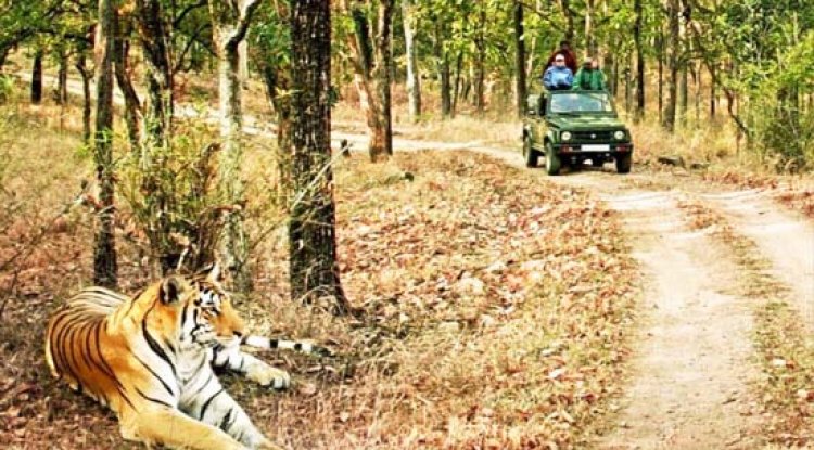 Uttarakhand Government : जिम कॉर्बेट टाइगर रिजर्व का नाम अब होगा रामगंगा नेशनल पार्क, केंद्रीय मंत्री अश्विनी चौबे ने दिए निर्देश