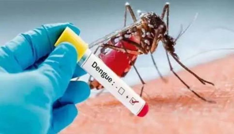 यूपी में डेंगू का कहर : शनिवार को मिले 210 नए मरीज, संक्रमितों की संख्या में हुआ इजाफा, जिले में 22 नए मरीज मिले