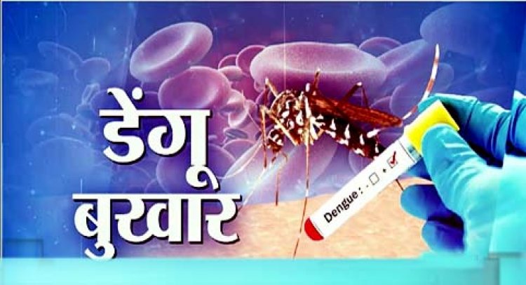 डेंगू-बुखार का प्रकोप : आगरा में भाभी-ननद की गई जान; फिरोजाबाद में 5 बच्चों और कासगंज में 7 की मौत