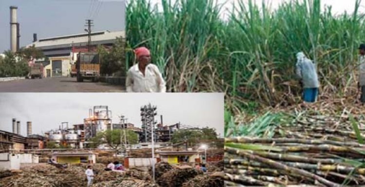 आयुक्त के तुगलकी फरमान से उड़ी किसानों की नींद : गन्ना किसानों को बर्बाद करने में जुटे गन्ना आयुक्त, पीएम-सीएम के अरमानो पर पानी फेर रहे नौकरशाह