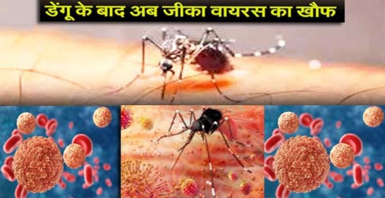 Zika Virus in Kanpur : कानपुर में आया जीका वायरस संक्रमण का एक मामला, हड़कंप मचने के बाद केंद्र ने फटाफट भेजी टीम