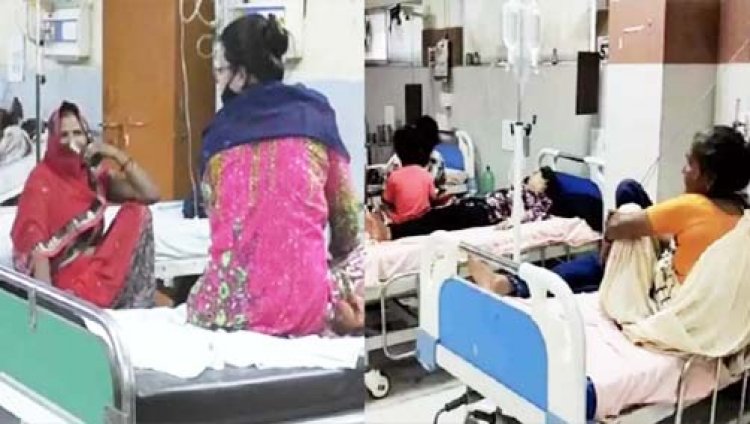 Dengue in UP : अब मेरठ में पैर पसार रहा है डेंगू का डंक, एक दिन में सामने आए सबसे ज्यादा 37 केस, अस्पतालों में हालात बिगड़े