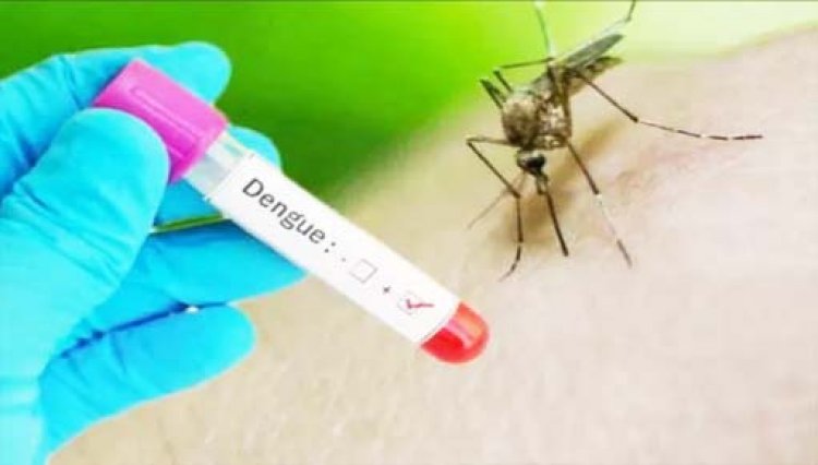 आगरा : एसएन मेडिकल कॉलेज में भर्ती 12 मरीजों में डेंगू की पुष्टि, सात बच्चों समेत 11 हुए डिस्चार्ज