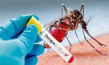 UP Dengue Cases : यूपी में डेंगू ने तोड़ा 8 साल का रिकॉर्ड, अब तक करीब 26 हजार केस सामने आए