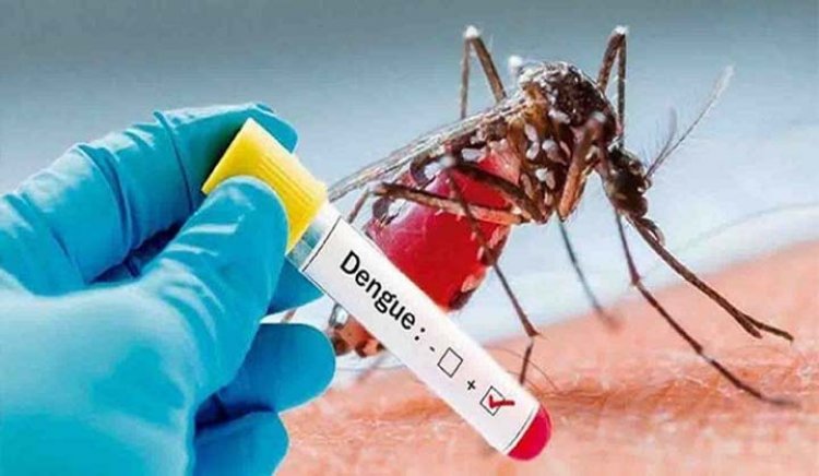UP Dengue Cases : यूपी में डेंगू ने तोड़ा 8 साल का रिकॉर्ड, अब तक करीब 26 हजार केस सामने आए