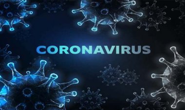 UP Corona & Vaccination Update : यूपी में मिले 20 दिन में 262 कोरोना मरीज : एक्टिव केस की संख्या पहुंची 157, शुक्रवार सुबह मिले 6 मरीज
