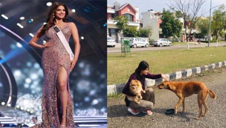 भारत में 21 साल बाद लौटा ताज : देश में जश्न का माहौल, 21 साल बाद भारत ने मिस यूनिवर्स का खिताब अपने नाम किया