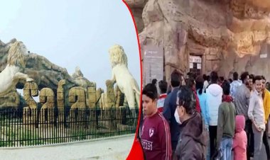 इटावा सफारी प्रशासन ने कमाए 5 लाख से ज्यादा : पहली बार 3 हजार से अधिक पर्यटक सैर करने पहुंचे, भीड़ संभालने के लिए 2 थानों की फोर्स बुलाई गई