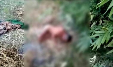 लखनऊ में दबंग ने दलित युवक को कपड़े उतार कर पीटा : गंभीर हालत में खेत में फेंका, वीडियो वायरल होने पर पुलिस कर रही पड़ताल