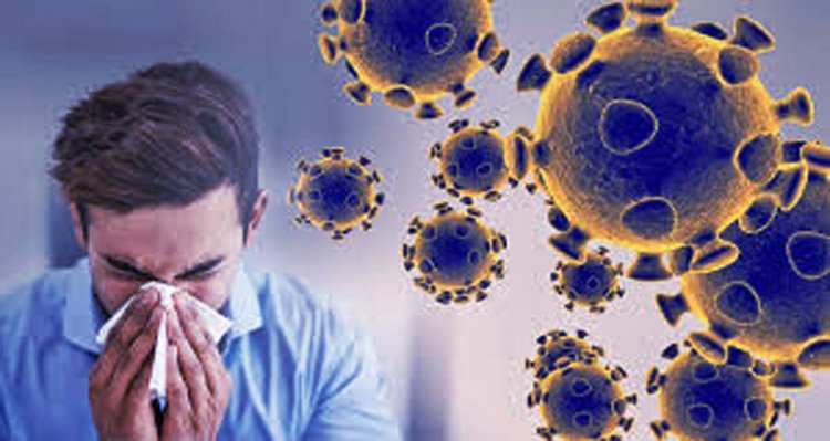 अलीगढ़ में मेडिकल कॉलेज के डॉक्टर समेत मिले 7 पॉजिटिव : अलीगढ़ में लगातार बढ़ रही है कोरोना संक्रमितों की संख्या, एक्टिव केस हुए 17