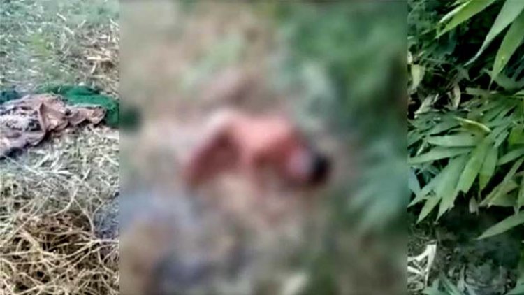 लखनऊ में दबंग ने दलित युवक को कपड़े उतार कर पीटा : गंभीर हालत में खेत में फेंका, वीडियो वायरल होने पर पुलिस कर रही पड़ताल