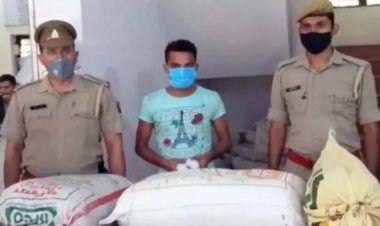 नोएडा पुलिस और एसटीएफ की संयुक्त टीम ने पांच गांजा तस्करों को किया गिरफ्तार : काफी समय से नशे के कारोबार में लिप्त थे