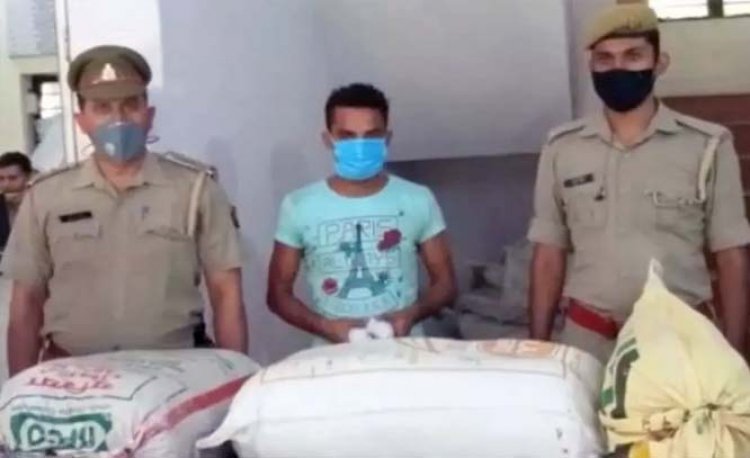 नोएडा पुलिस और एसटीएफ की संयुक्त टीम ने पांच गांजा तस्करों को किया गिरफ्तार : काफी समय से नशे के कारोबार में लिप्त थे
