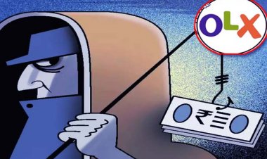 ओएलएक्स पर सोफा खरीदने का झांसा देकर युवती से 35 हजार की ठगी, साइबर सेल कर रही जांच