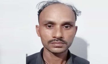 लखनऊ STF ने पकड़े 295 कछुए : तस्कर हांगकांग, चीन और मलेशिया लेकर जा रहे थे; 1 अरेस्ट