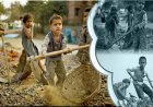 बाल श्रम बच्चों को उनकी क्षमताओं बचपने और गरिमा से दूर करता है