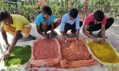 चुकंदर, मेरीगोल्ड फूल से तैयार किए गए गुलाल